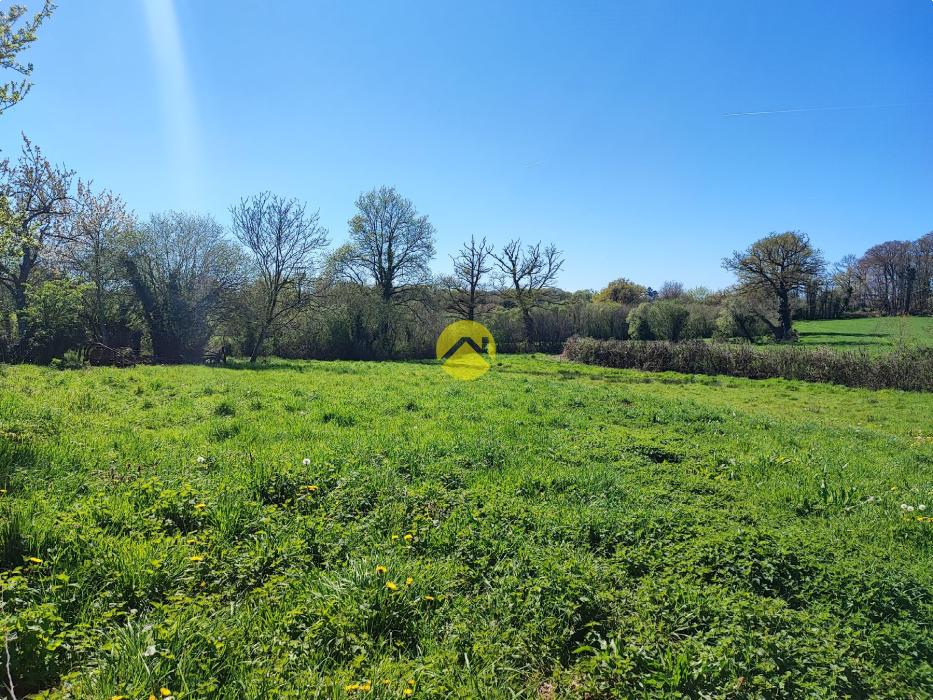 Maison de 55mm² avec un plan d'eau.