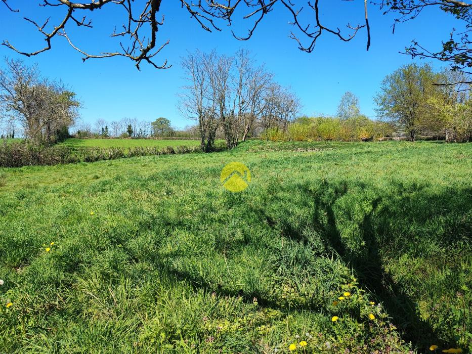 Maison de 55mm² avec un plan d'eau.