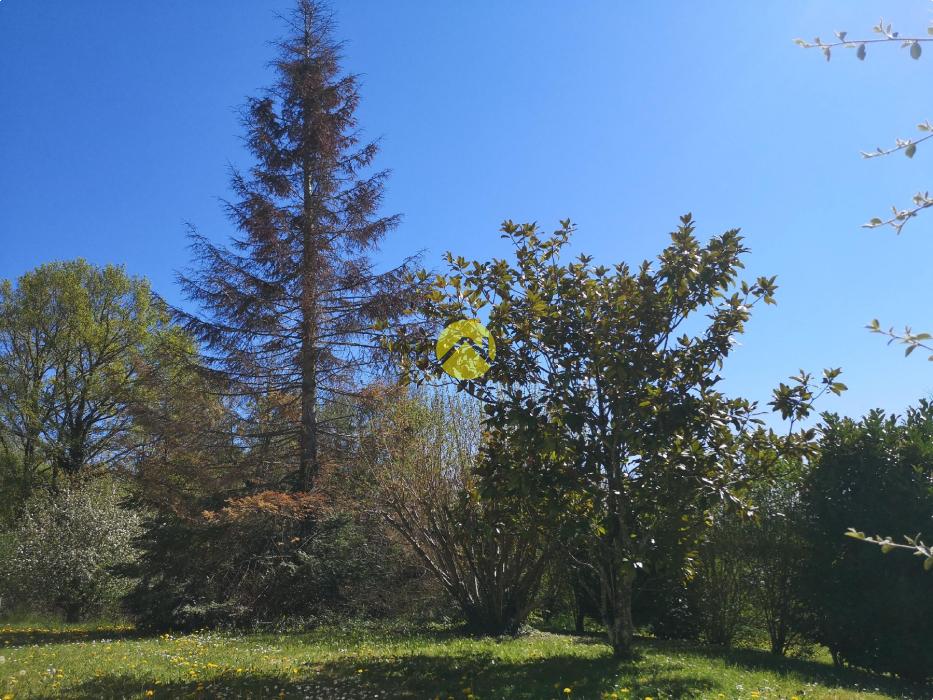 MAISON DE PLAIN-PIED