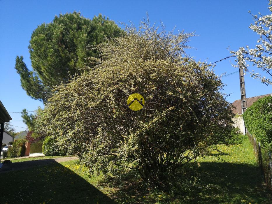 MAISON DE PLAIN-PIED