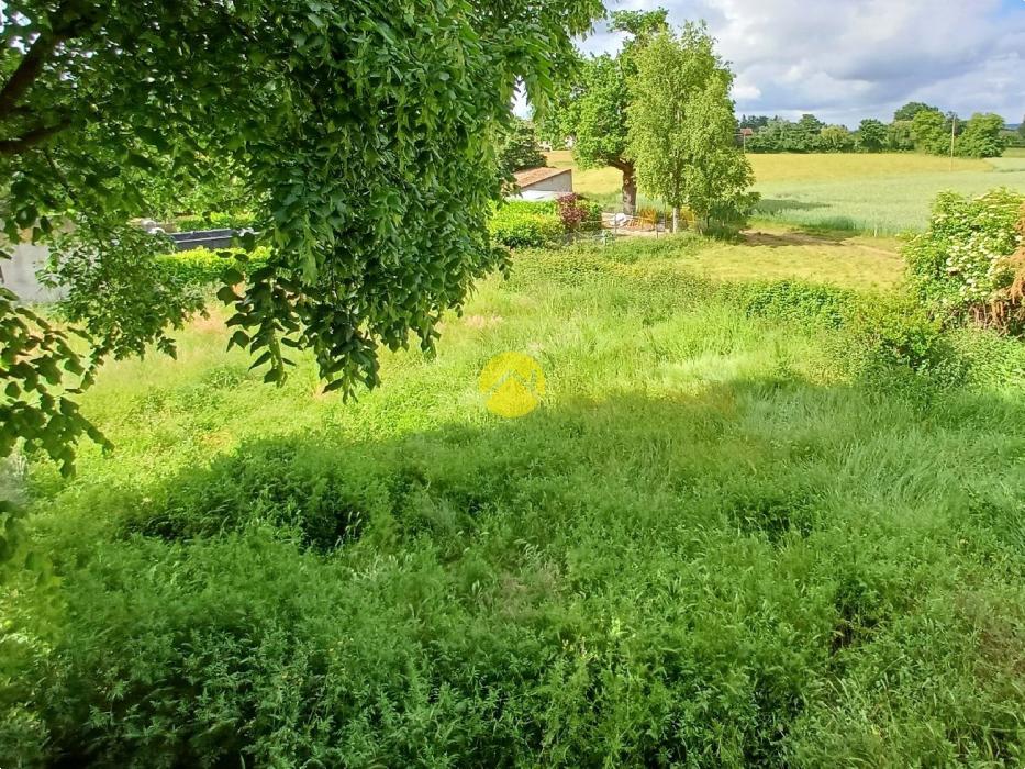 Maison élevée sur sous sol