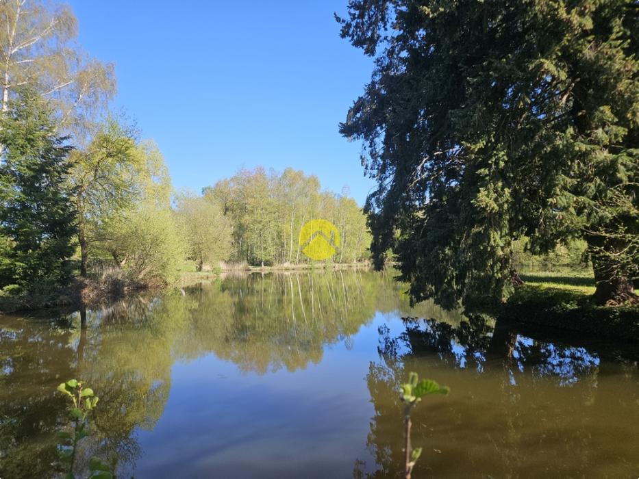ancien moulin 2 étangs