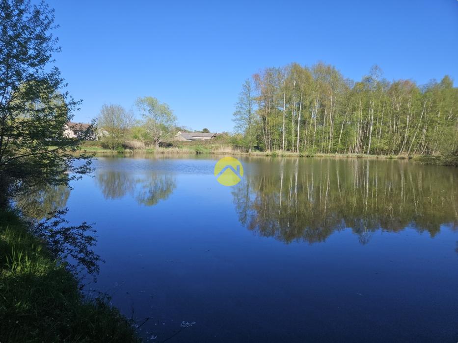 ancien moulin 2 étangs