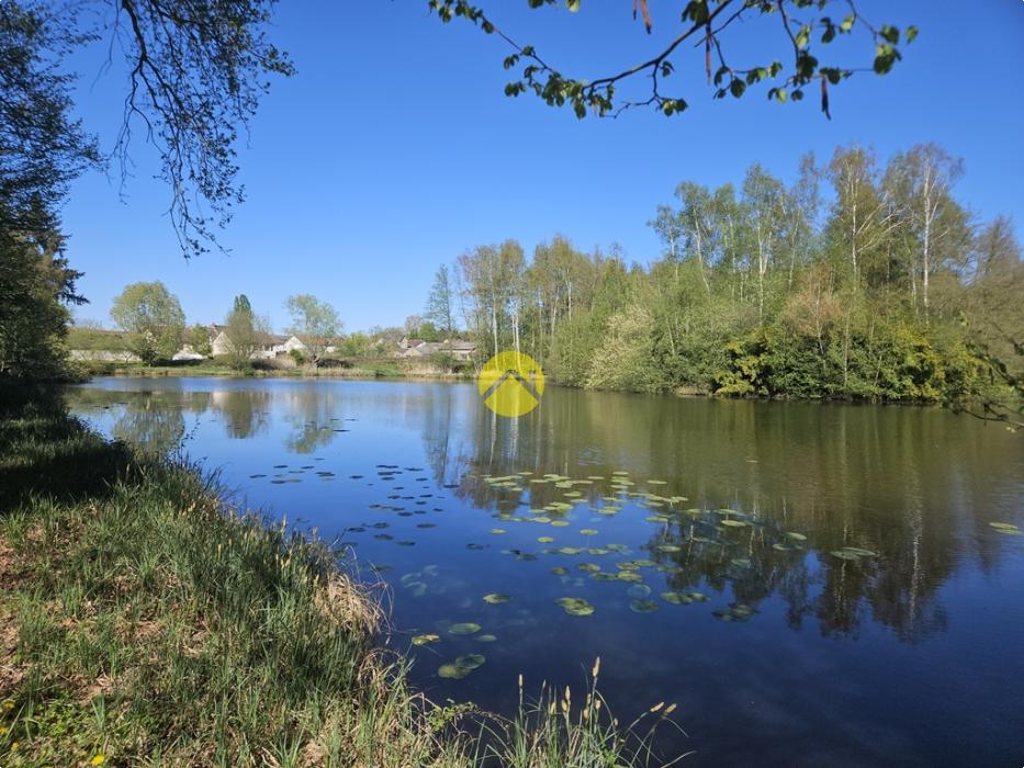 ancien moulin 2 étangs