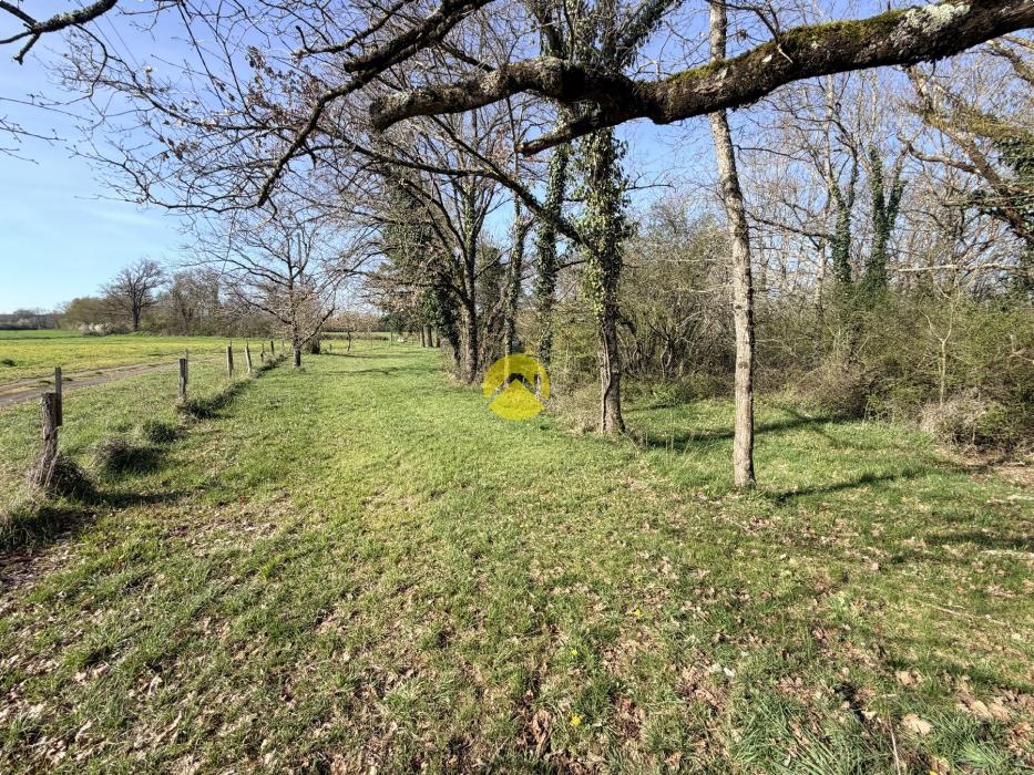 Maison campagne sans voisin
