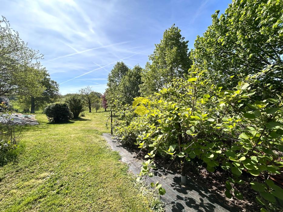 MAISON RENOVEE VUE A LA CAMPAGNE