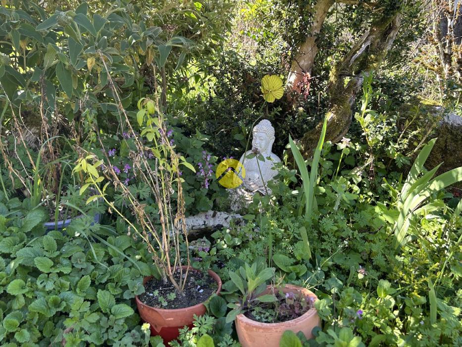 ANCIENNE MAISON EN PIERRE ET PARC 