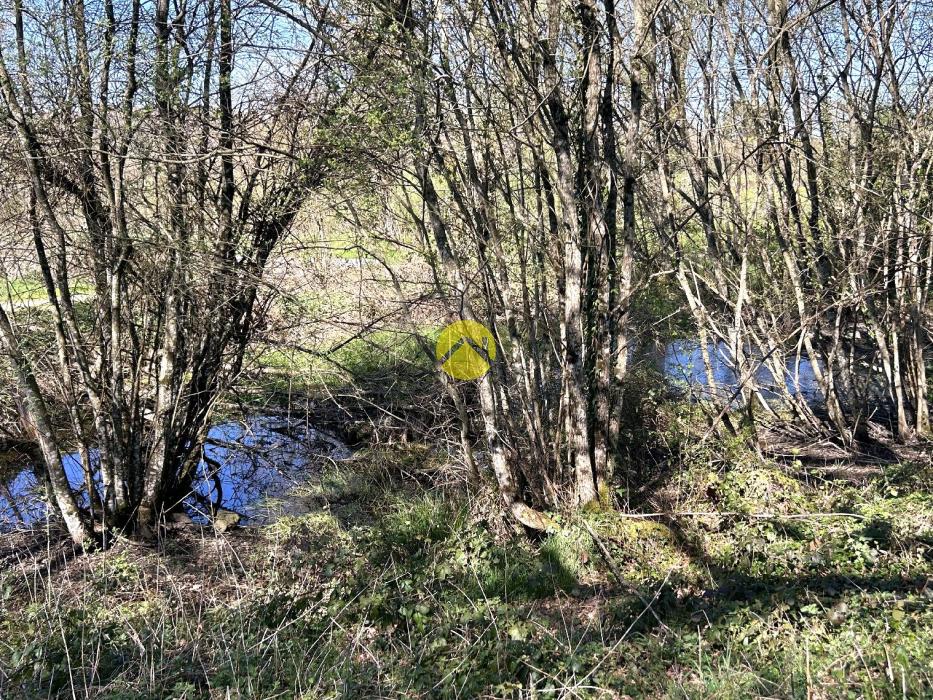 ANCIENNE MAISON EN PIERRE ET PARC 