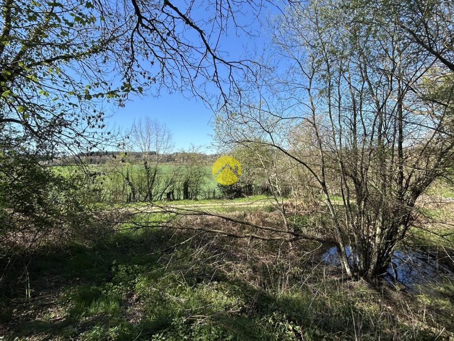 ANCIENNE MAISON EN PIERRE ET PARC 