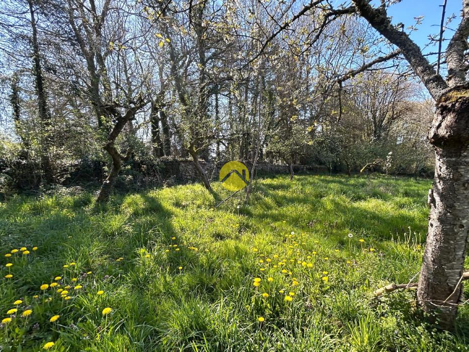 ANCIENNE MAISON EN PIERRE ET PARC 