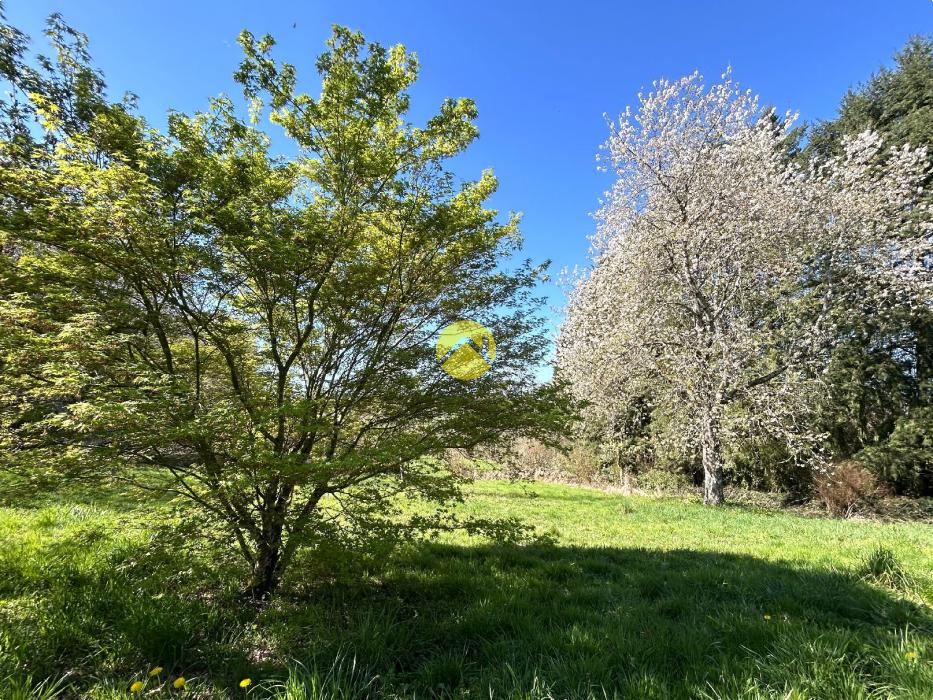 ANCIENNE MAISON EN PIERRE ET PARC 