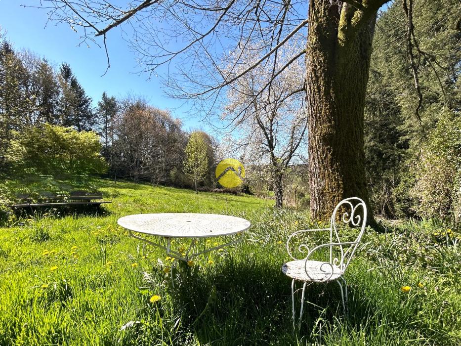 ANCIENNE MAISON EN PIERRE ET PARC 