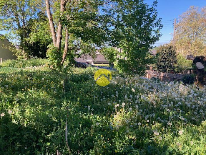 Location meublée, maison 1 Ch