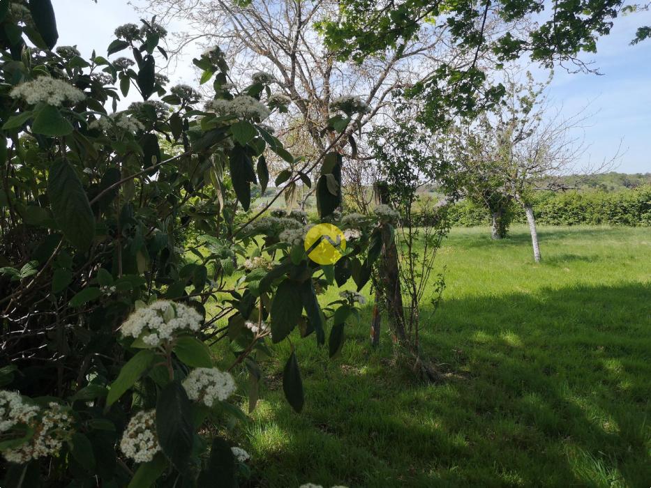 MAISON AVEC DEPENDANCE