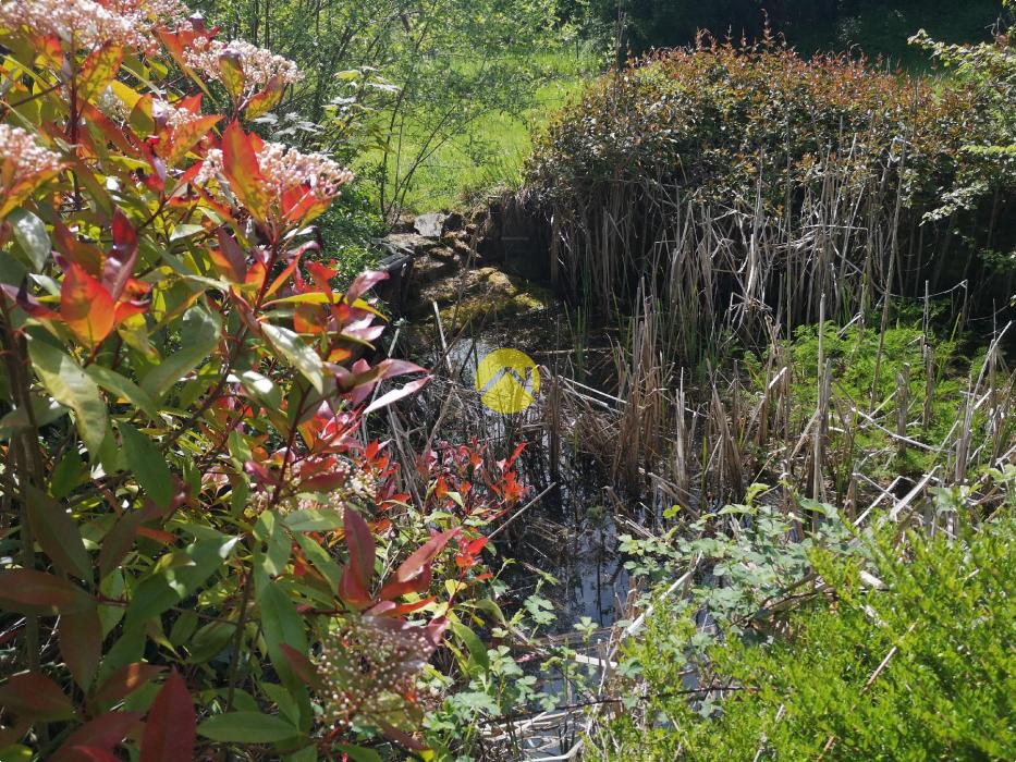 MAISON AVEC DEPENDANCE