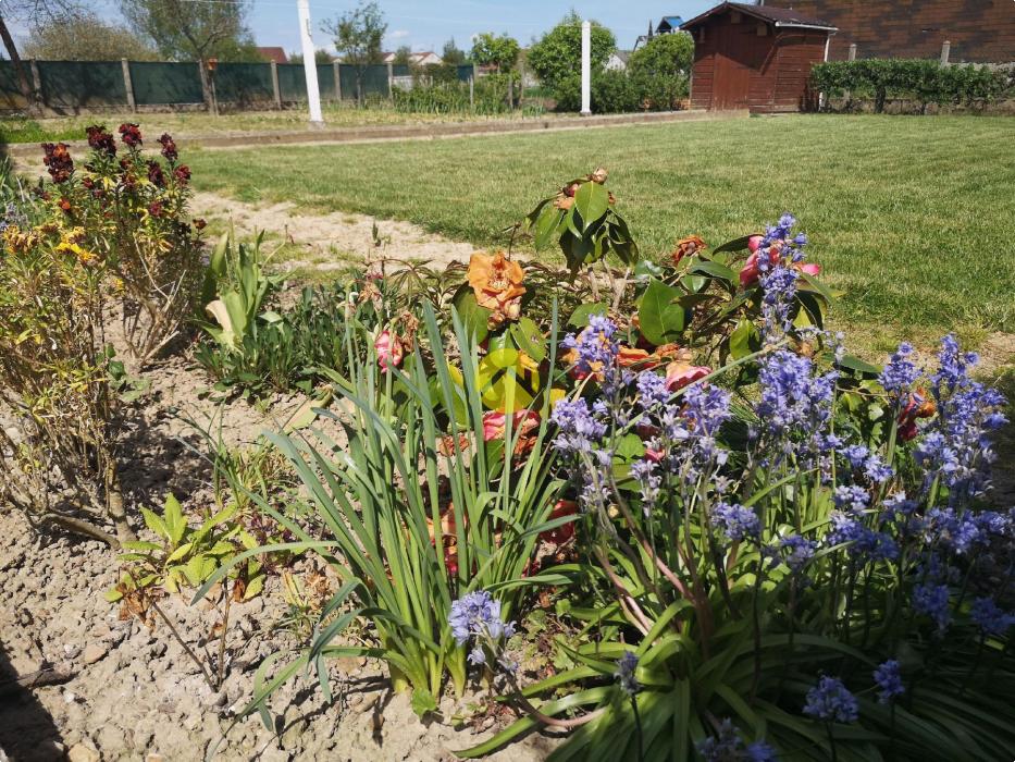 PAVILLON FONCTIONNEL AVEC SOUS-SOL 