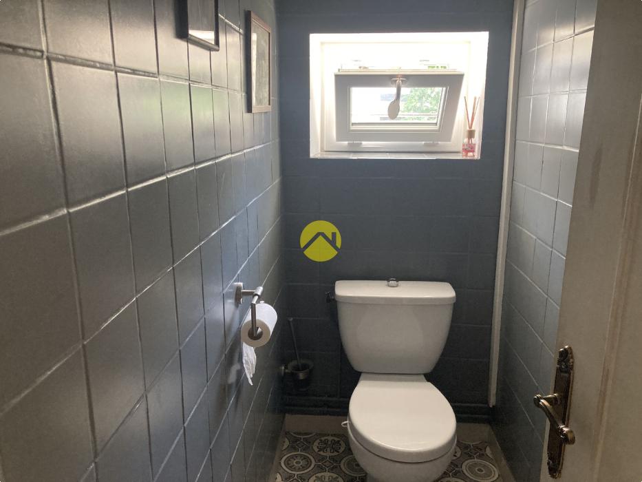 LE CHARME DANS NOS CAMPAGNES