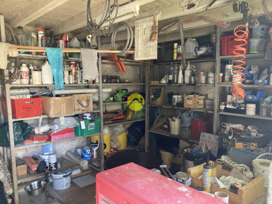 LE CHARME DANS NOS CAMPAGNES