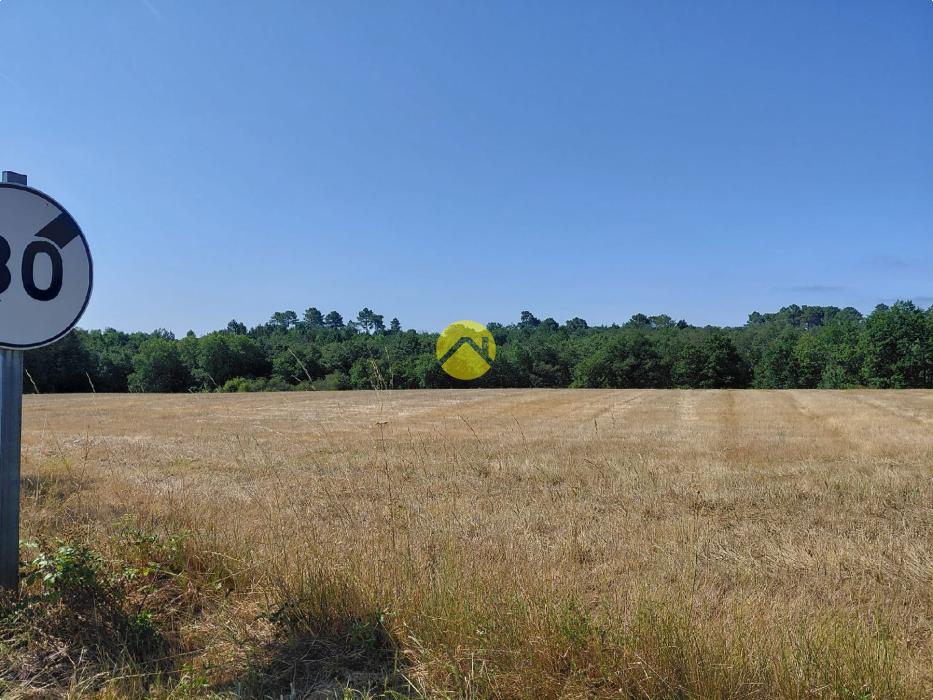 BELLE Terrain agricole