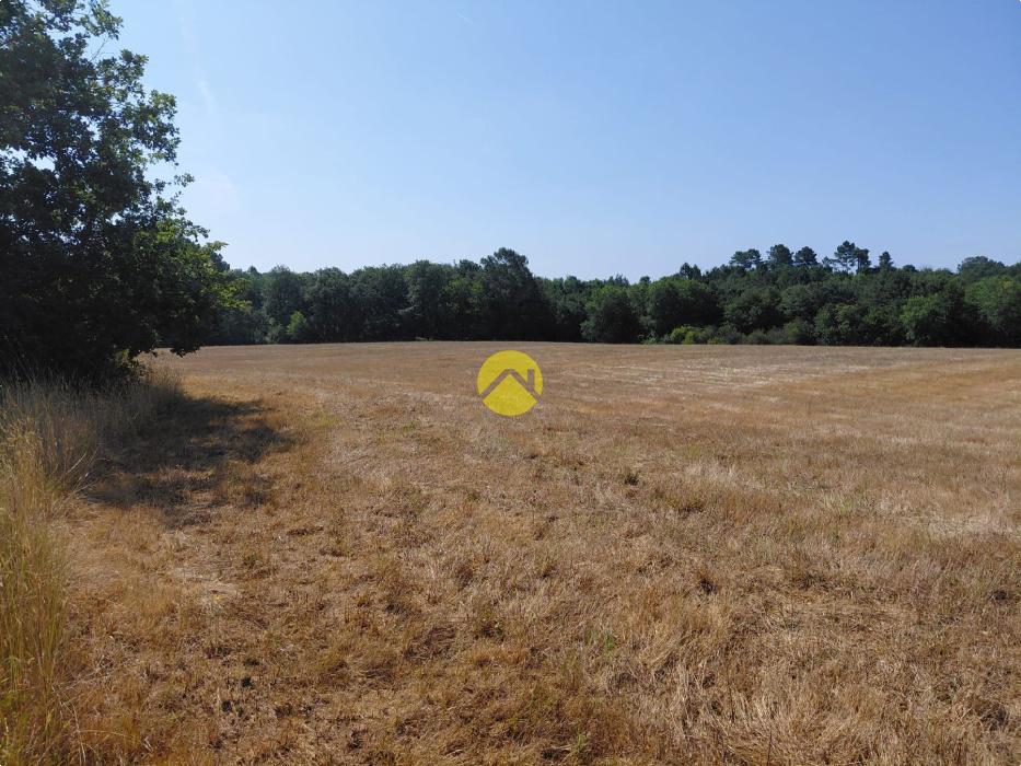 BELLE Terrain agricole