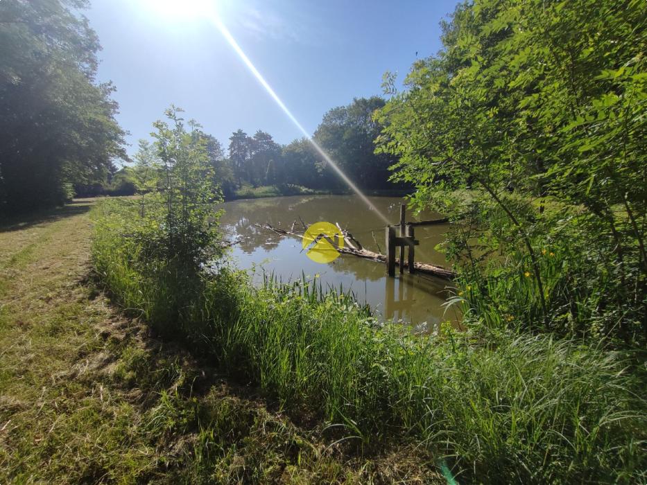 Terrain de Loisirs / Etang / Chalet Vailly sur sauldre, m2 à vendre