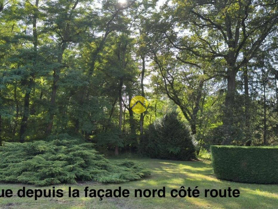 IDYLLIQUE