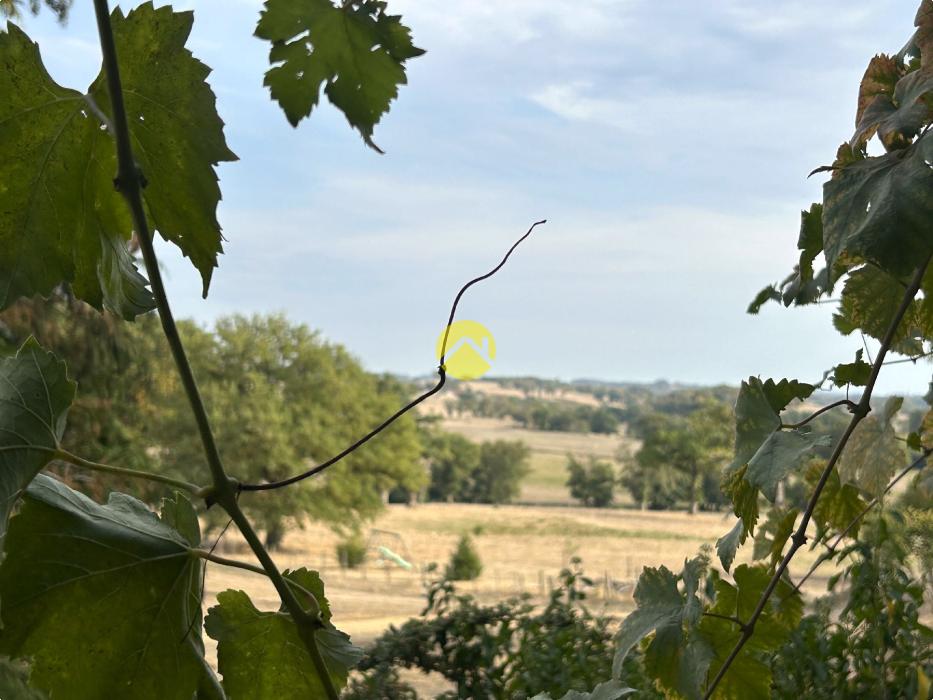 MAISON CREUSOISE + GRANGE EN PIERRE