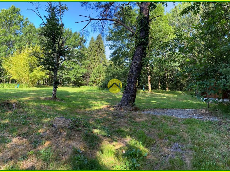 Maison Solognotte Terrain 6345m²