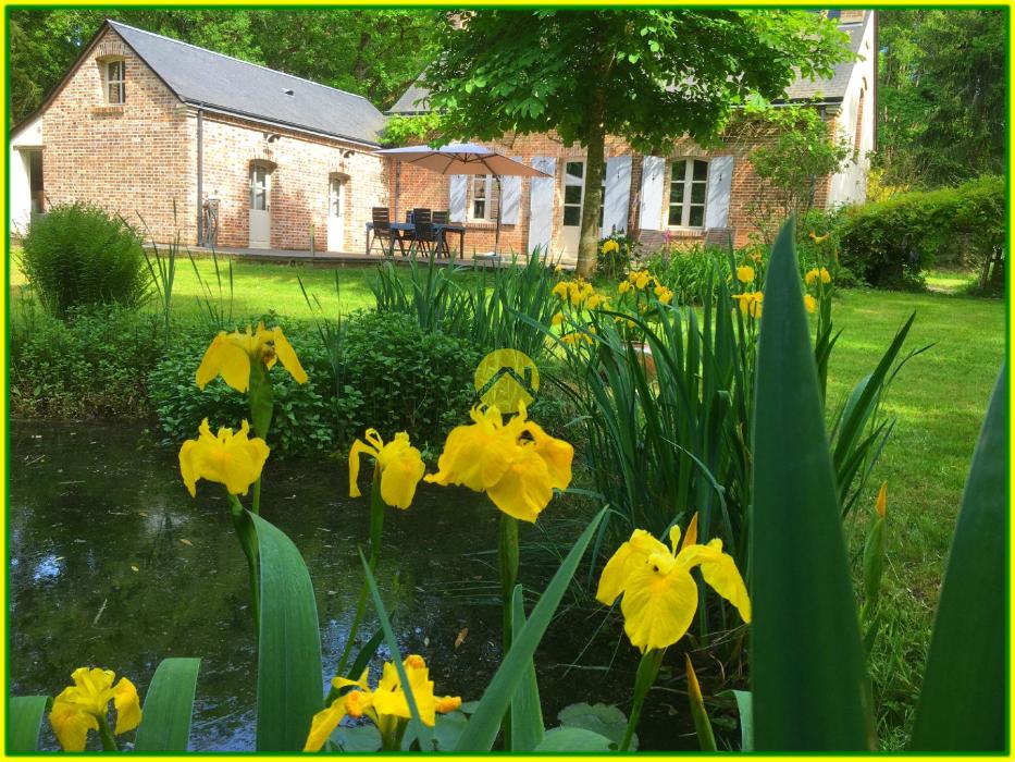 Maison / Pavillon Neuvy sur barangeon, 10 pièces à vendre