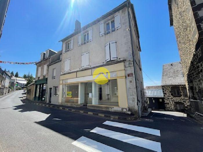 IMMEUBLE EN RAPPORT