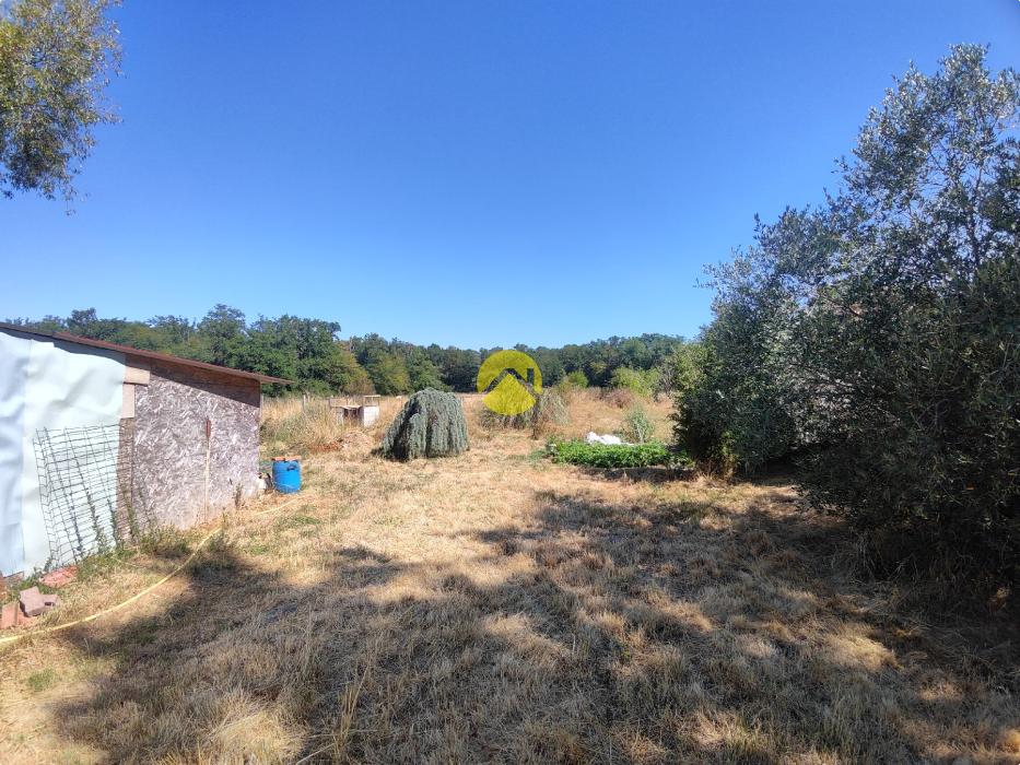BELLE LONGERE GRAND TERRAIN 
