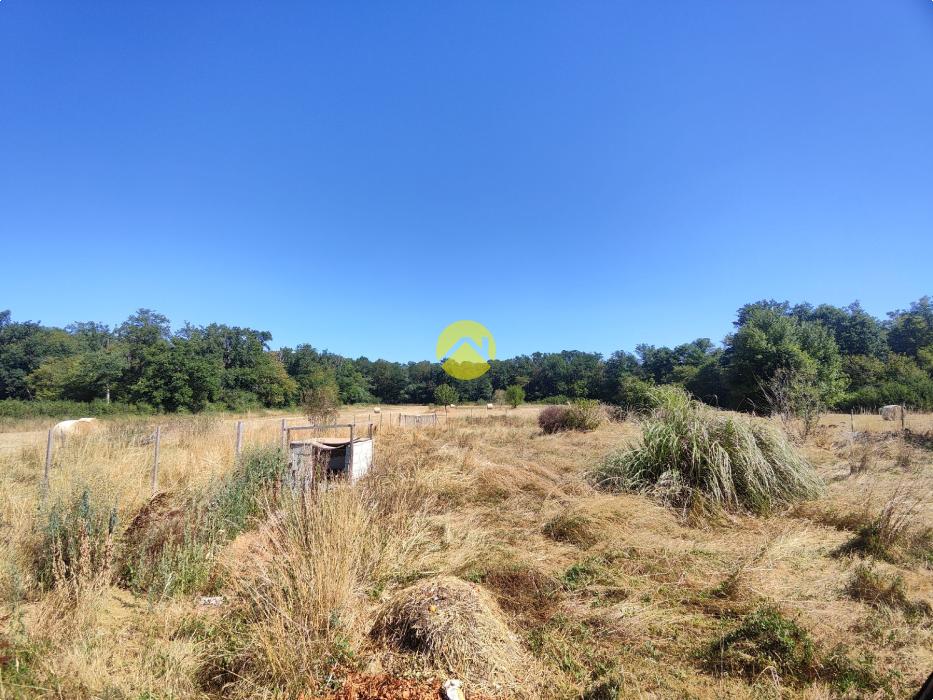 BELLE LONGERE GRAND TERRAIN 