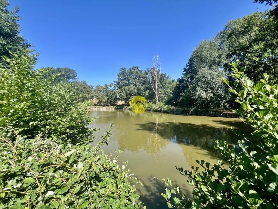100% ISOLÉE AVEC ETANG
