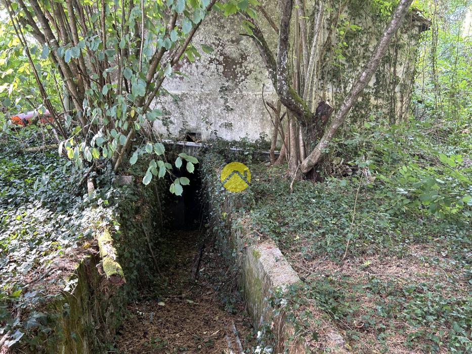 maison a restaurer totalement
