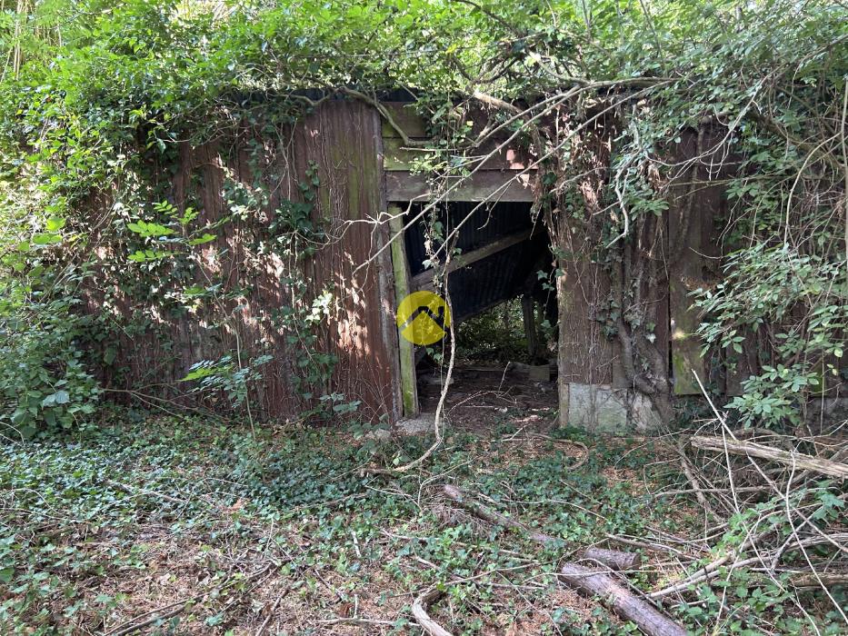 maison a restaurer totalement