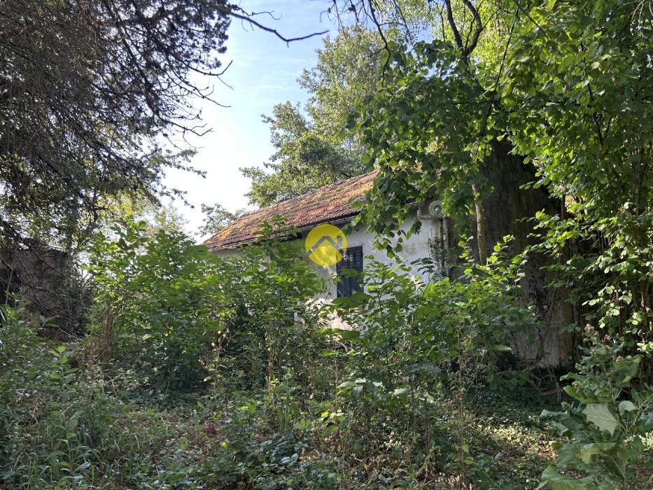 maison a restaurer totalement