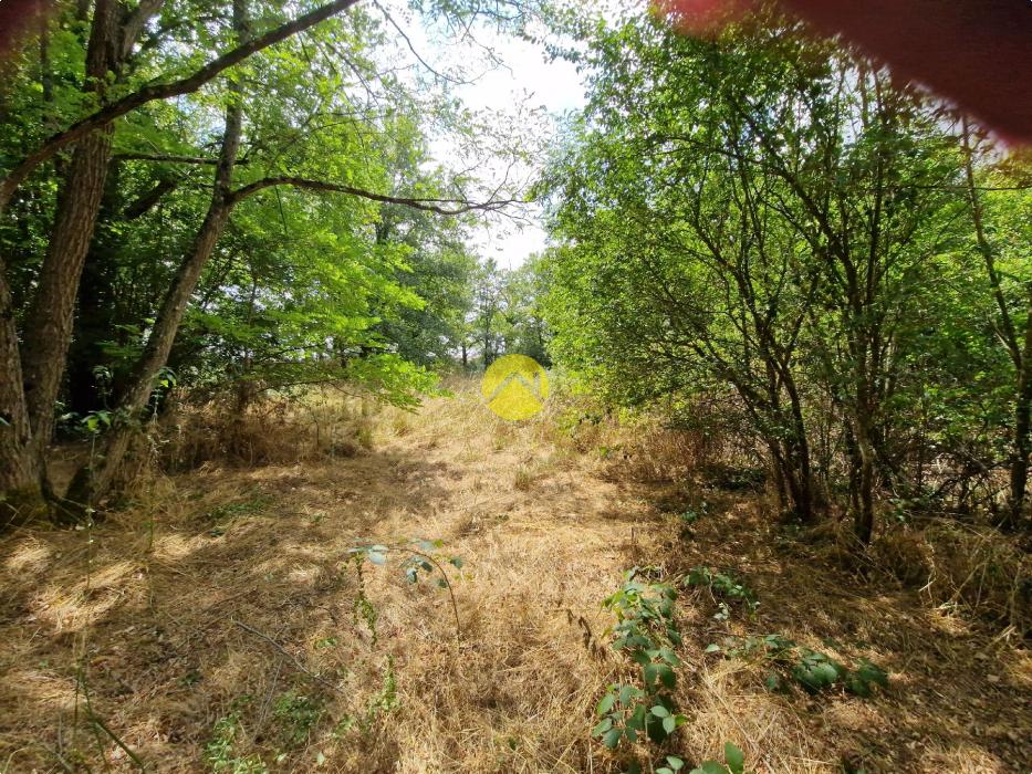 Terrain constructible de 2505 m²