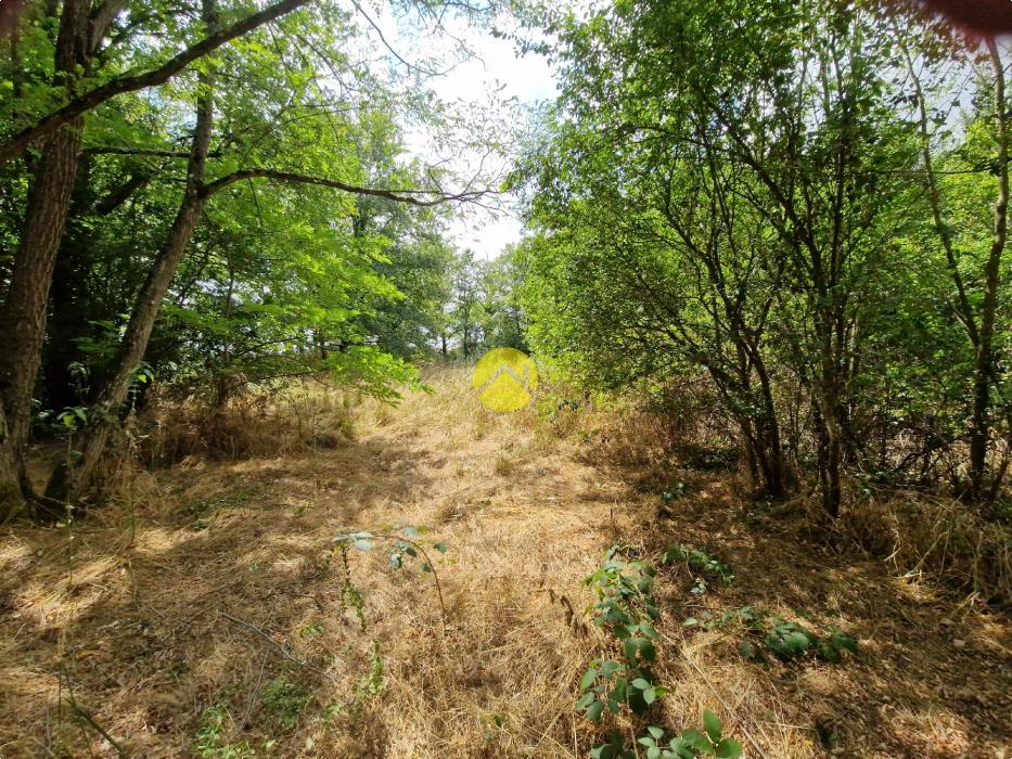 Terrain constructible de 2505 m²