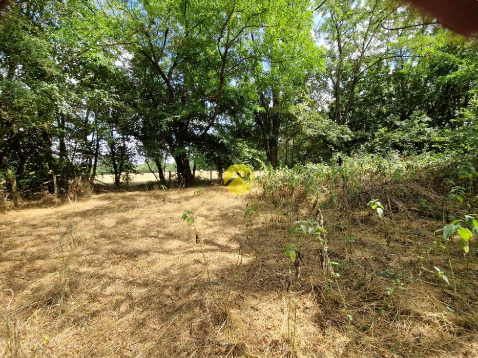 Terrain constructible de 2505 m²