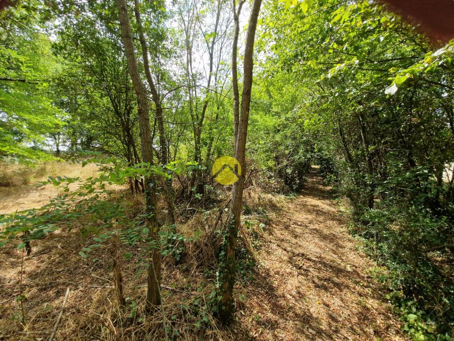 Terrain constructible de 2505 m²