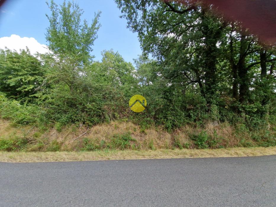 Terrain constructible de 2505 m²