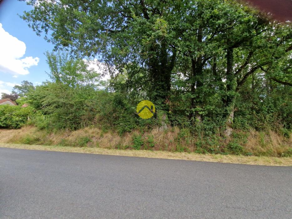 Terrain constructible de 2505 m²