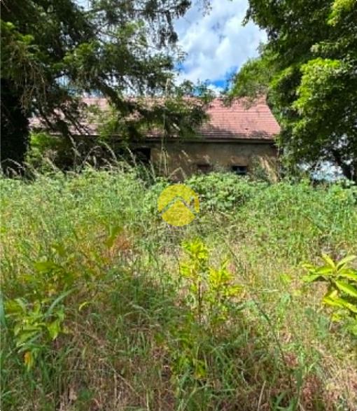 Maison dont grange attenante