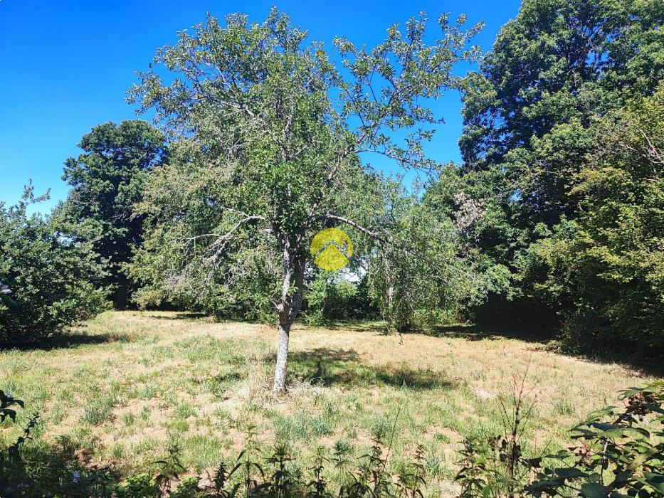 19683m² de terrain attenant...