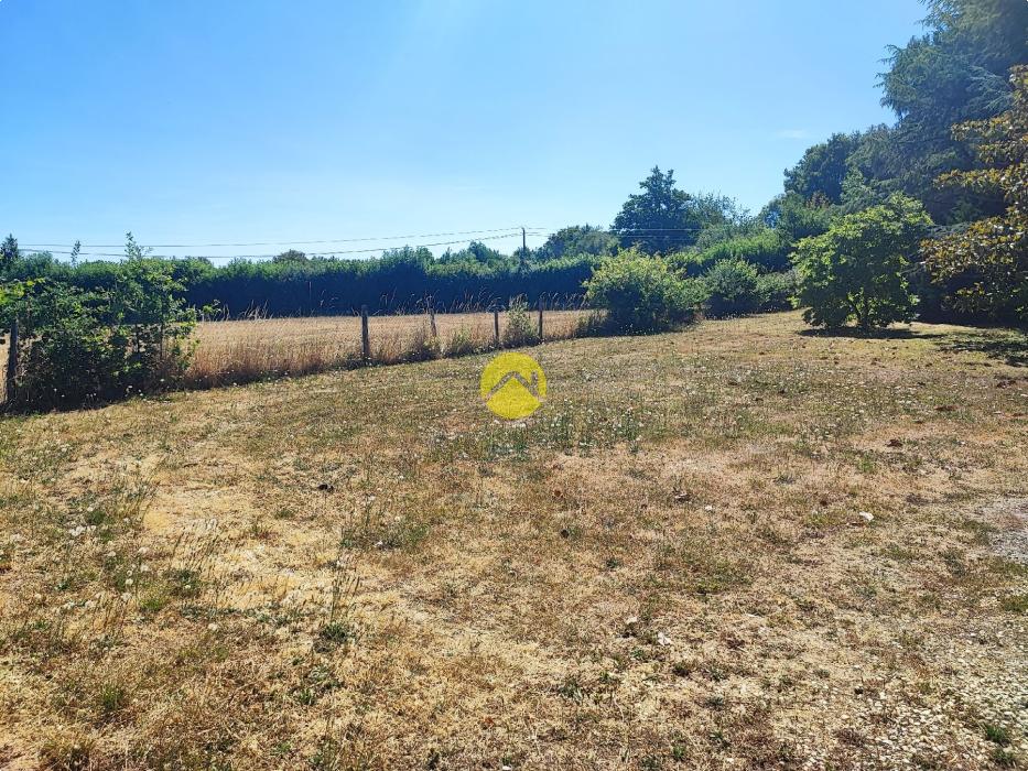 19683m² de terrain attenant...