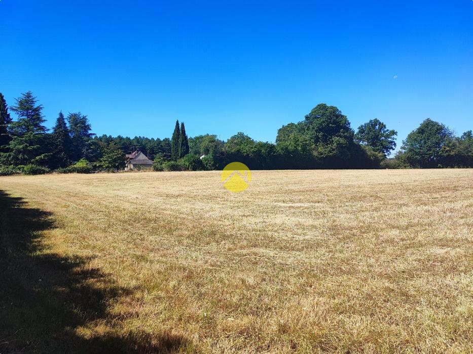 19683m² de terrain attenant...