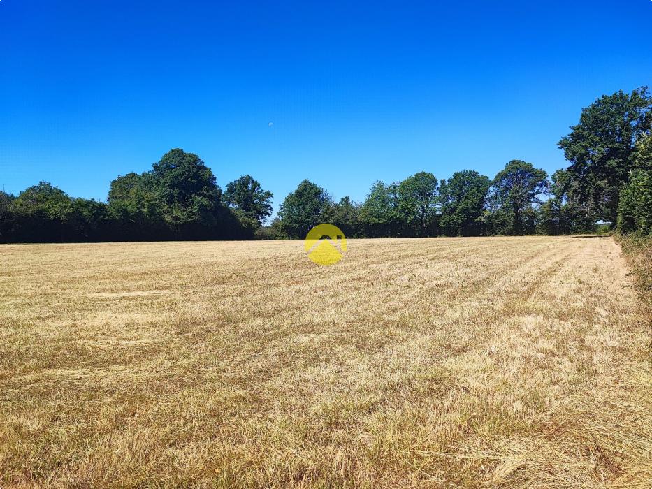 19683m² de terrain attenant...