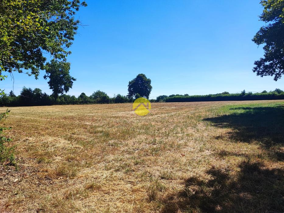19683m² de terrain attenant...