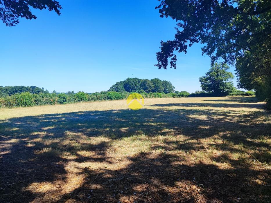 19683m² de terrain attenant...