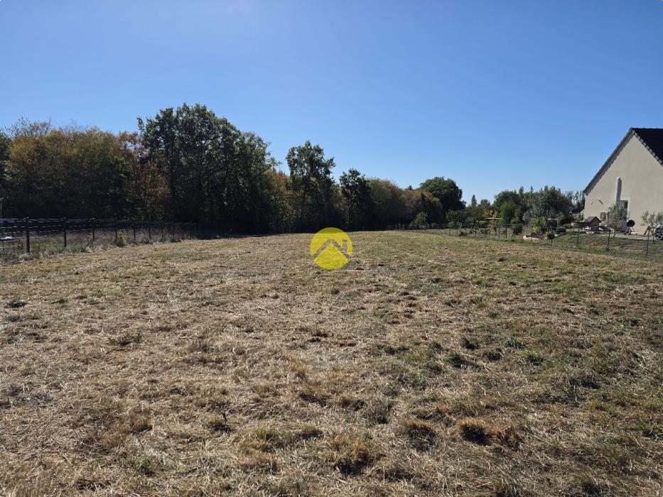 terrain constructible